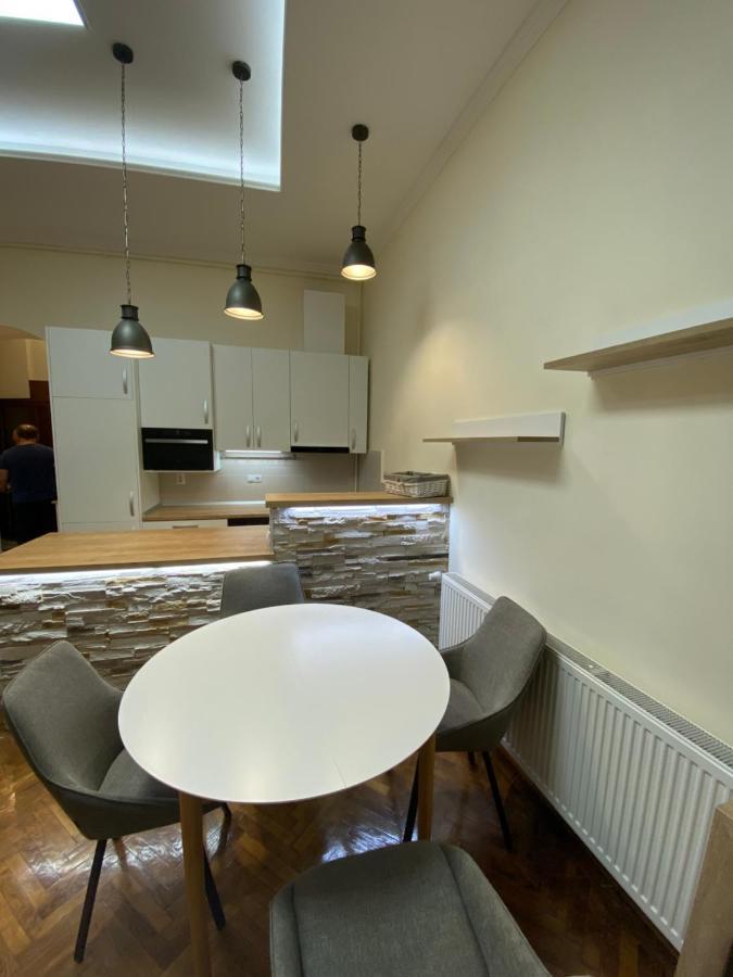 Centre Ville Apartment Cluj Napoca Bagian luar foto